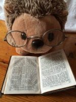 Read more about the article התמודדות עם הכנת שיעורי בית
