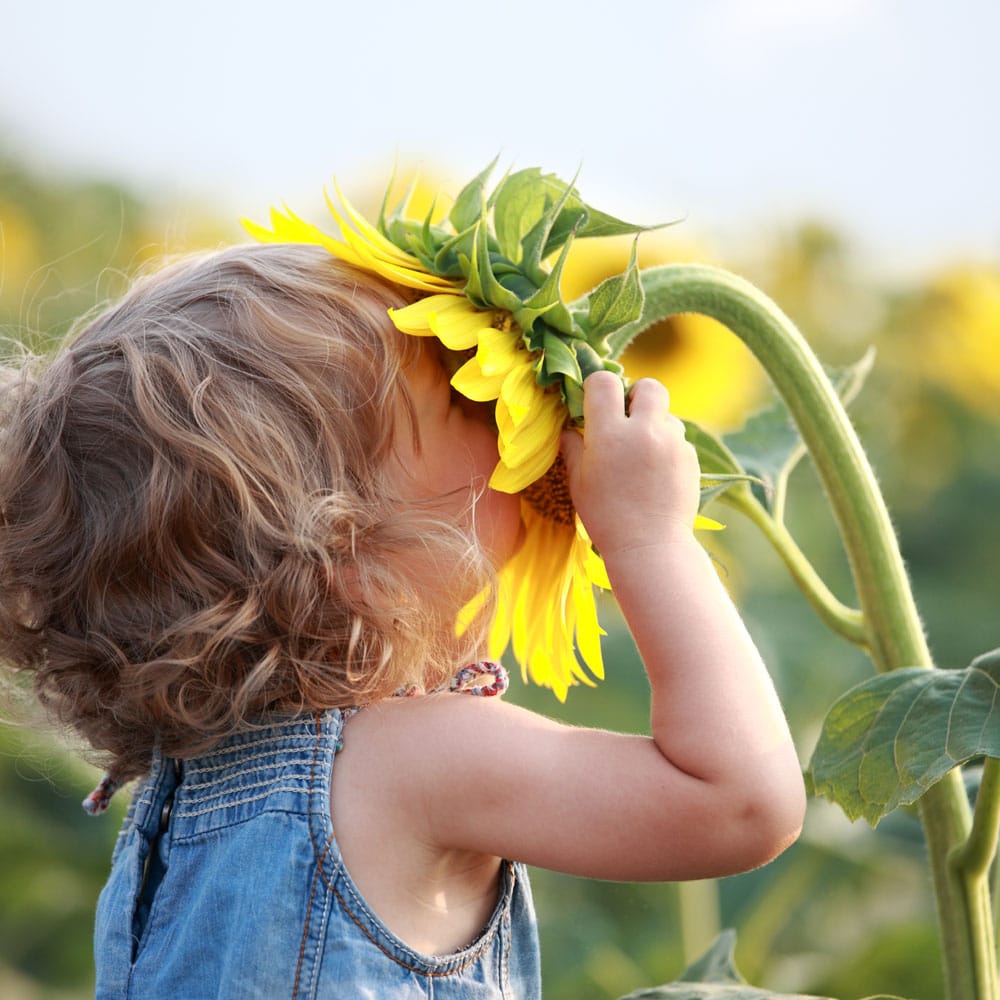 Read more about the article חמישה יסודות שיובילו אתכם לאושר